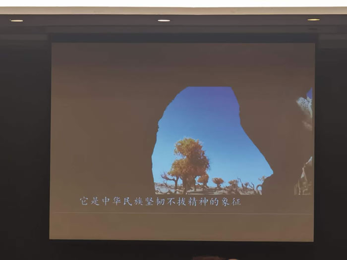 綿陽中旅行假日旅行社舉行胡楊林、南疆專列推薦會